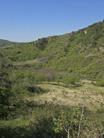 Teren de 3900 mp, în Lacu