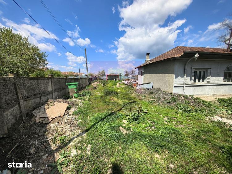 Teren de 975 mp, în Cernica