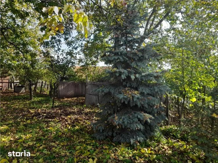 Casă cu 2 camere cu Teren 4960 Mp în Abram