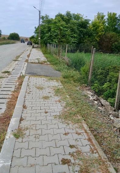 Teren Construcții intravilan de 5179 mp, în Credința