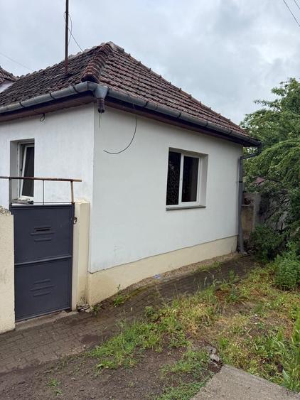 Vand casa Paulis - 6