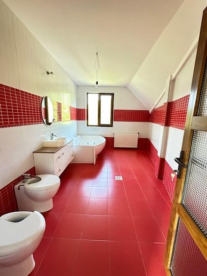 V. BORCUTULUI VILA 600mp P+E+M cu 2000mp teren! - 28