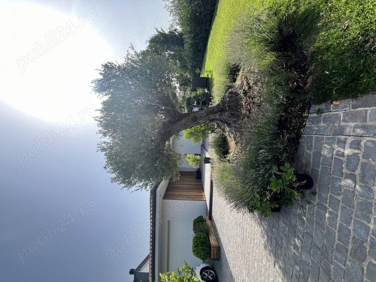 Casă în Sânnicolau Mare