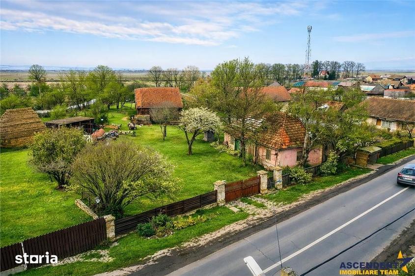 Teren de 4831 mp, în Boroșneu Mare