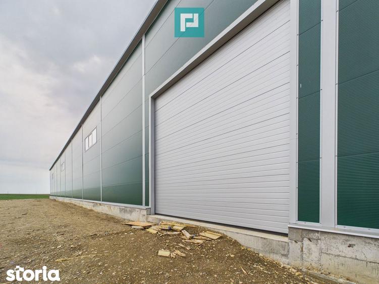 Spațiu comercial, de 563 mp, în Sânandrei