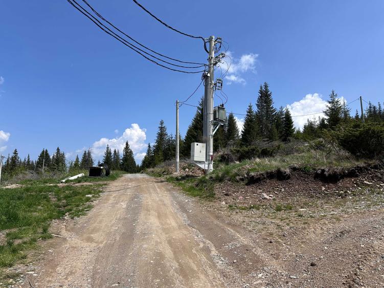 Teren de 1000 mp, în Muntele Băișorii