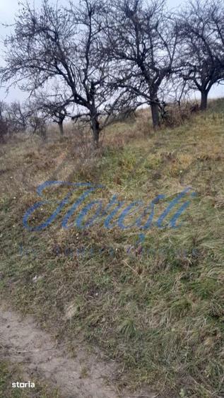Teren de 3450 mp, în Borhanci