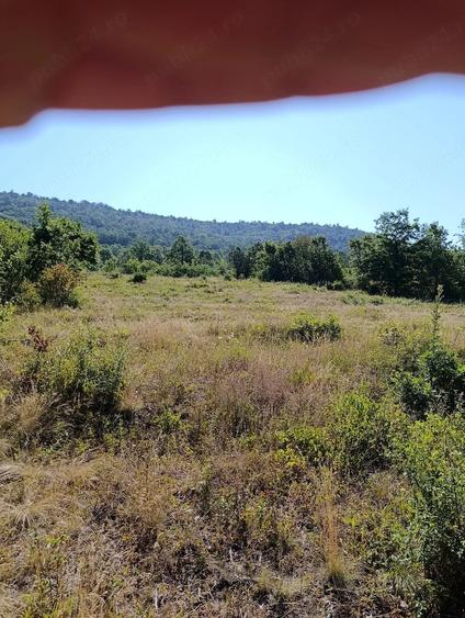Teren extravilan (front intravilan) 3016 mp | Sebi?, jud. Arad - 1