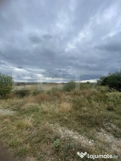 Teren de vanzare, 4.300 mp, zona Cornesti - Mihai Viteazu - Cornesti (Mihai Viteazu) (Cluj) - 2