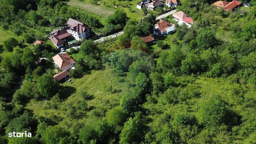 Casa de vanzare in natura la tara - Mihaesti - 12