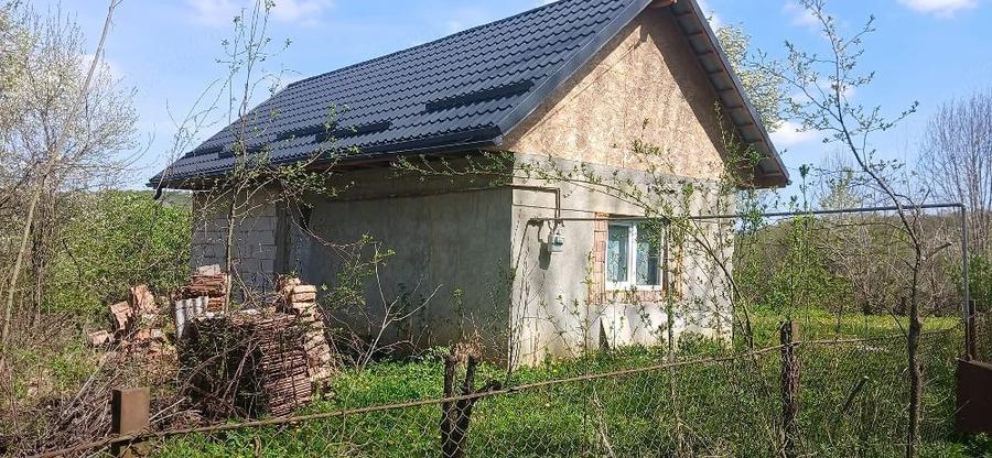 Casă cu Teren 8000 Mp în Mădăraș