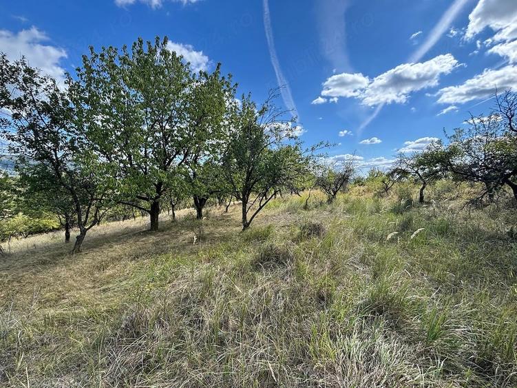 Proprietar - Vand teren 6.107 mp Valenii de Munte - deschidere 20.8m - 3