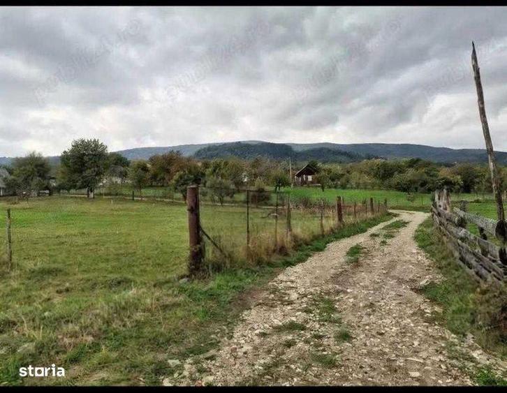 Teren de 990 mp, în Cacica