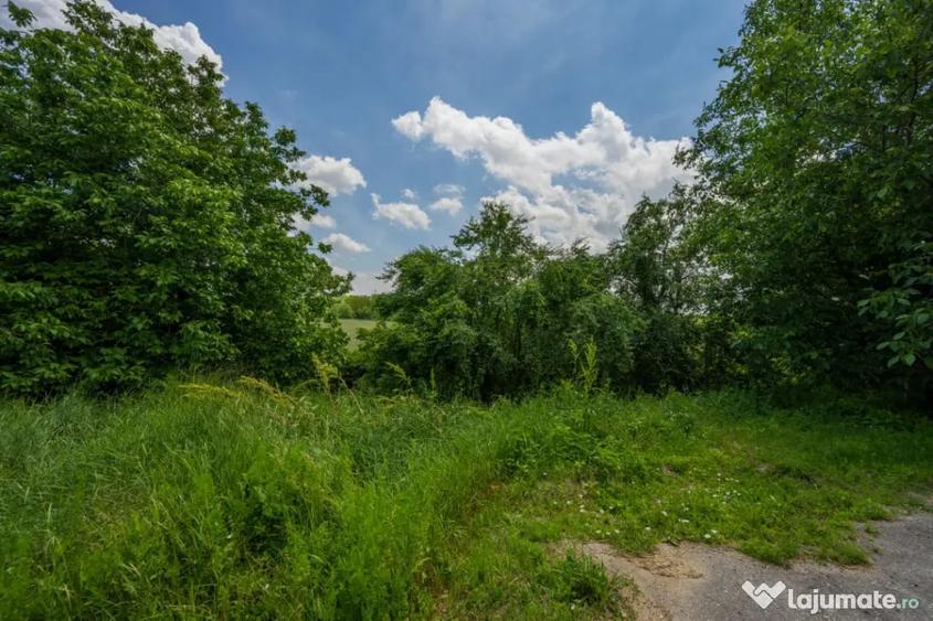 PERIS - LAC, TEREN CONSTRUCTII 5500 MP, DESCHIDERE 200 M! - 1