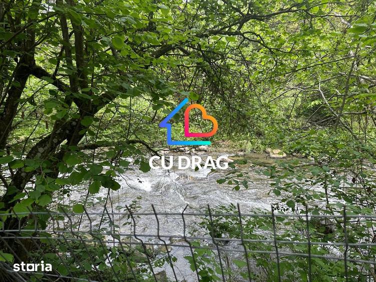 Casă cu Teren 12000 Mp în Avrig