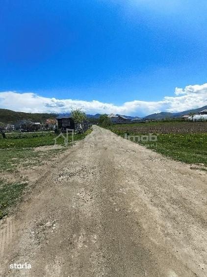 Teren de 784 mp, în Central