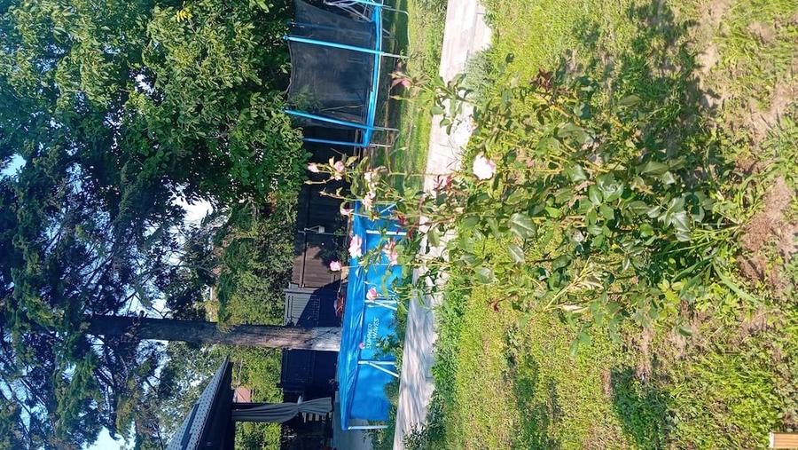 Casă cu 3 camere cu Teren 750 Mp în Petrăchioaia