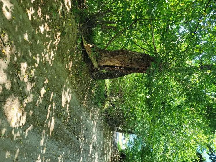 Teren în Stațiunea Climaterică Sâmbăta