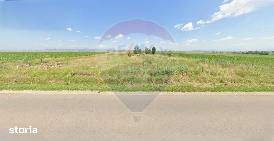 Teren de 9750 mp, în Hălchiu