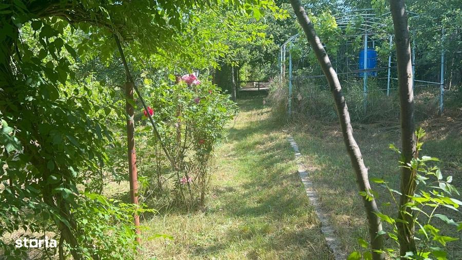 Casuta de vacanta cu 3 camere si curte mare - 24