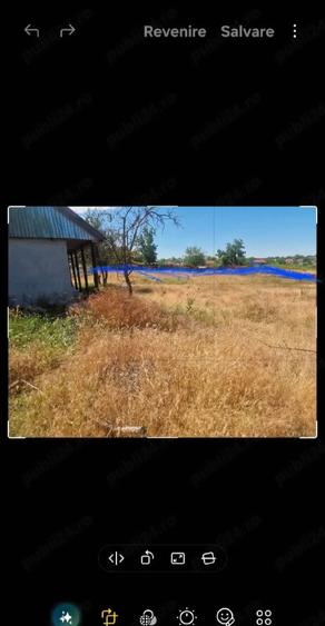 Casă cu Teren 3000 Mp în Dăeni