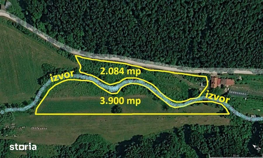 Teren de 6000 mp, în Vețel