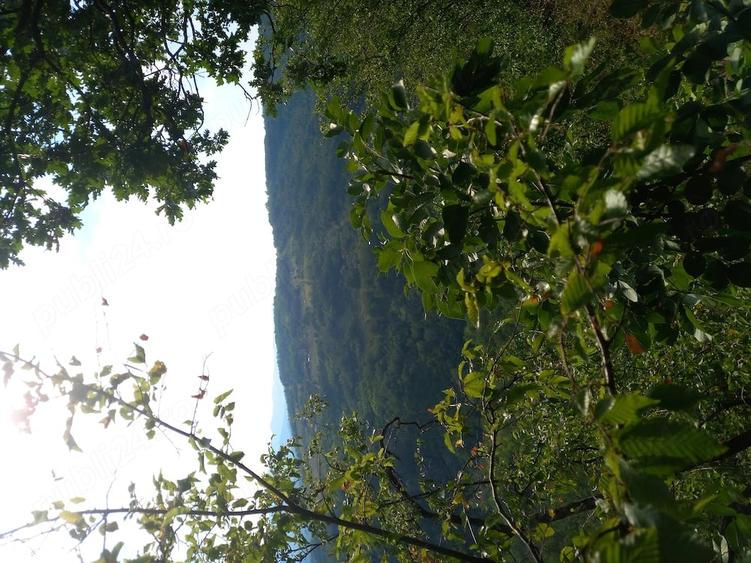 Teren de 27000 mp, în Mănăstirea