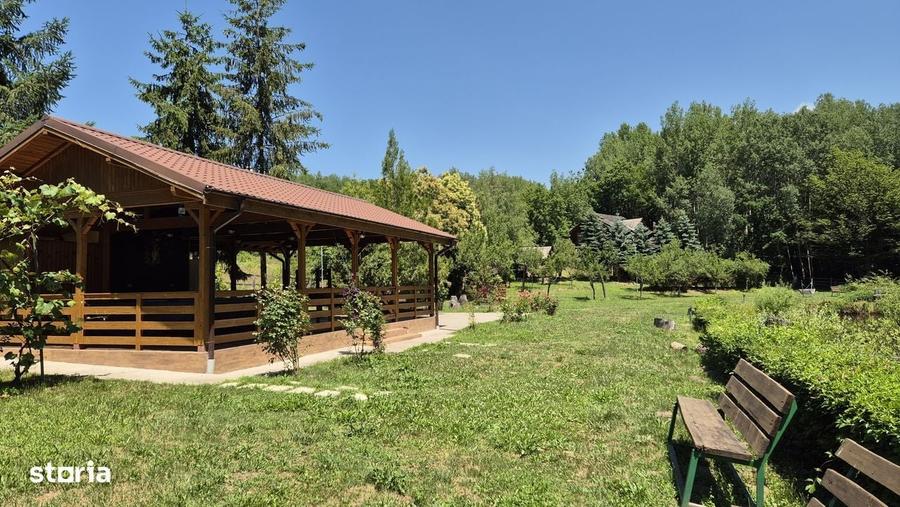 Spațiu comercial, de 280 mp, în Dăești