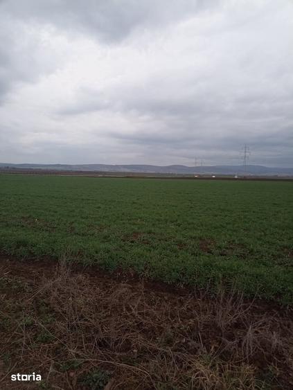 Teren de 3958 mp, în Central