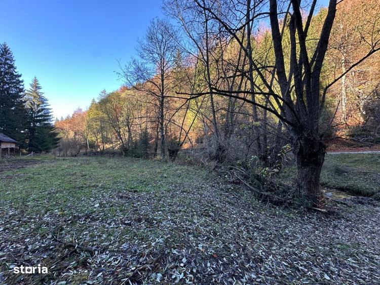 Teren de 2882 mp, în Dâmbovicioara