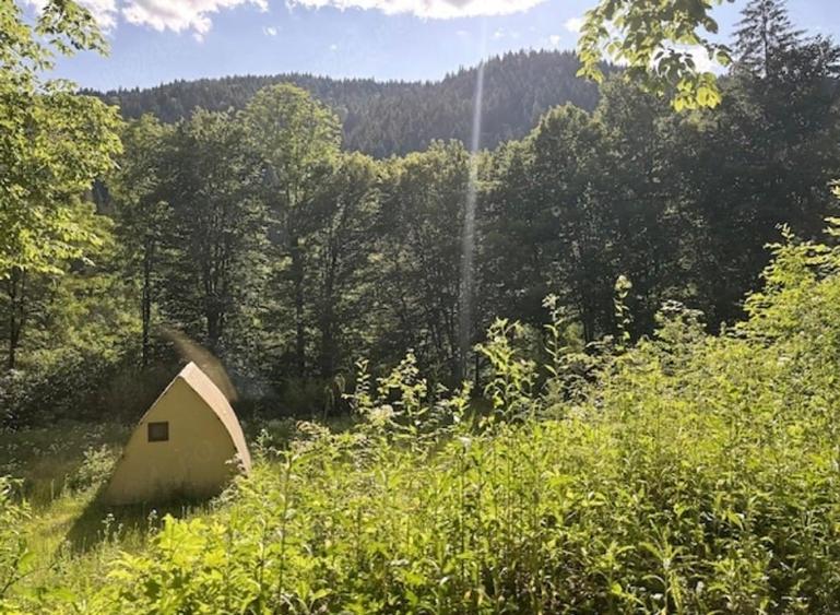 Teren intravilan de 3275 mp, în Tarcău