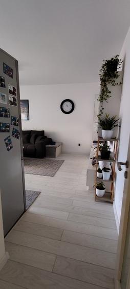 Apartament cu 3 camere decomandat, mobilat în Turnișor