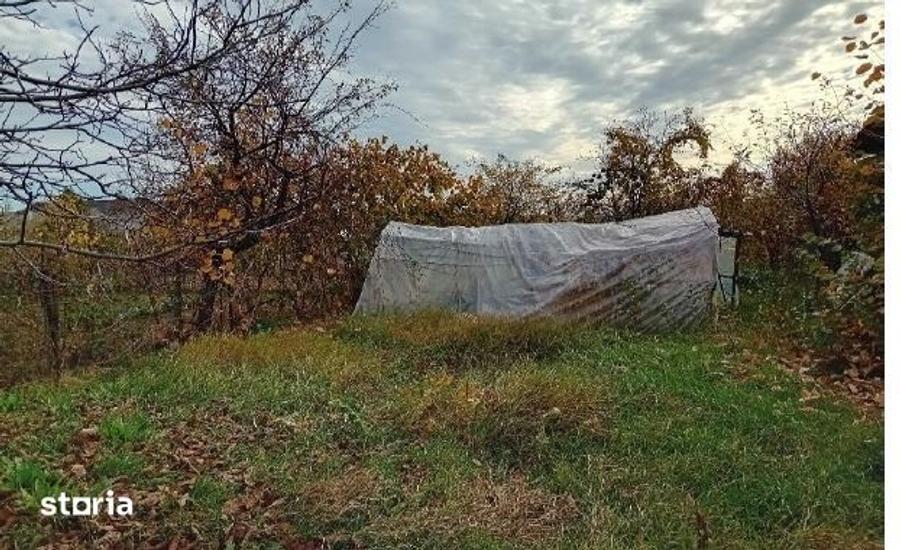 Teren de 160 mp, în Oarja
