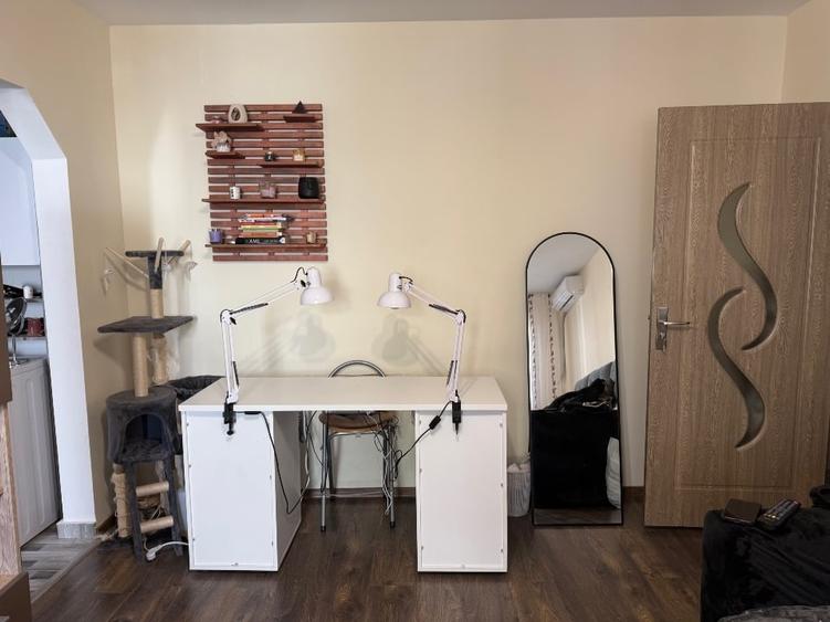 Apartament cu 2 camere semidecomandat, mobilat în Alexandru cel Bun