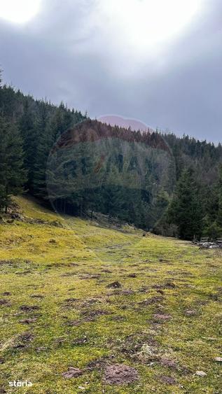 Teren de 4331 mp, în Arieșeni