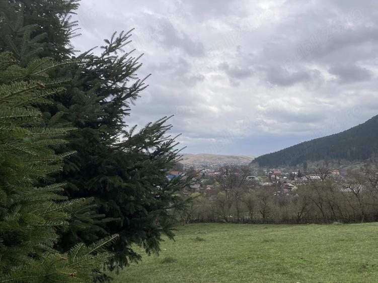 Teren intravilan 5.000 mp Garcina | 12 min de Piatra Neam? | Padure + priveli?te - 4