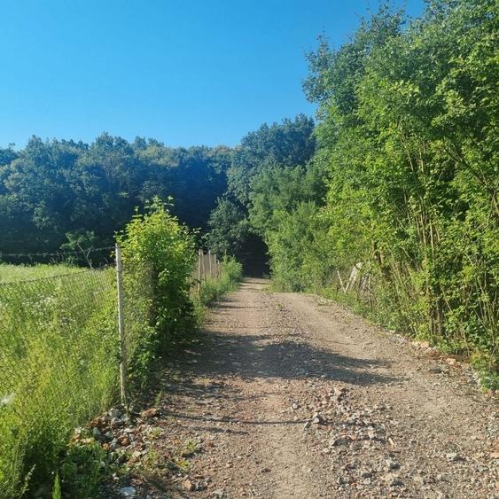 Teren extravilan, padure Zona Corunca Acatari - 2