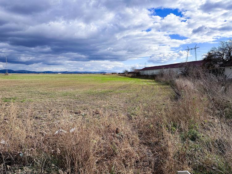 Teren agricol intravilan de 5000 mp, în Hălchiu