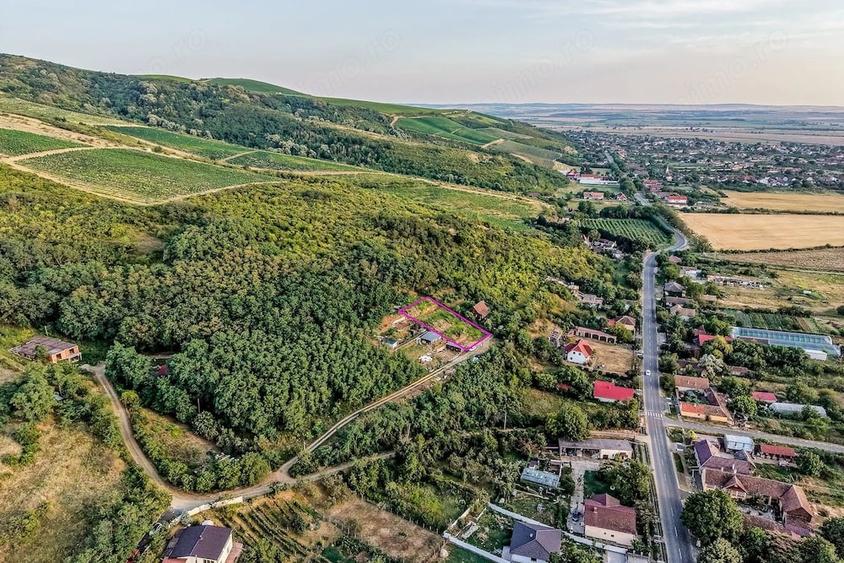 Teren de 1150 mp, în Miniș
