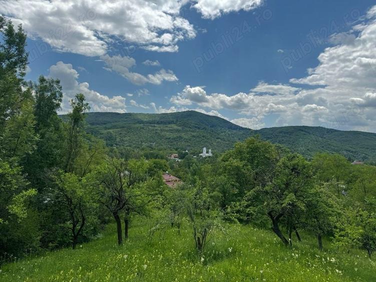 Teren de 5600 mp, în Vărbila