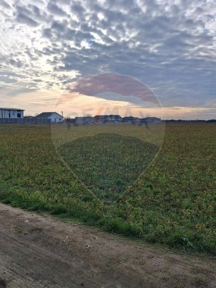 Teren agricol intravilan de 5700 mp, în Sântion