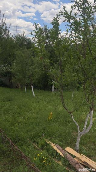 Teren de 1359 mp, în Nistorești