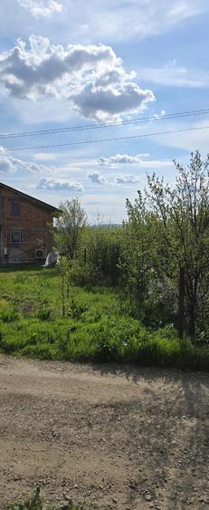 Teren de 5000 mp, în Vernești