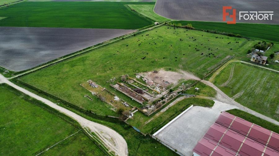 Teren Construcții intravilan de 58340 mp, în Sânmartinu Sârbesc