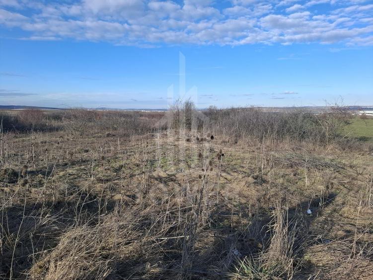 Teren agricol intravilan de 4300 mp, în Cristian