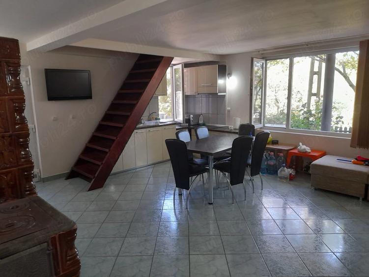 Casă cu Teren 2440 Mp în Sasca Română