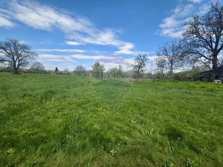 Teren de 4733 mp, în Drajna