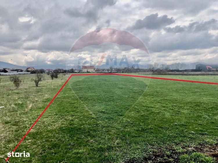 Teren de 3545 mp, în Tărlungeni