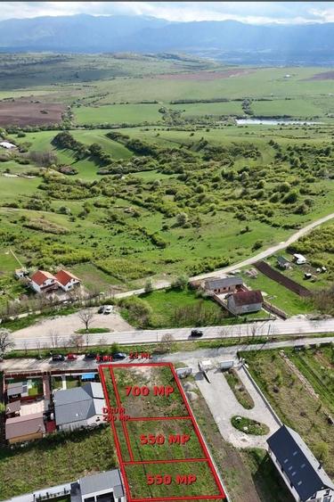Teren Construcții intravilan de 650 mp, în Daia