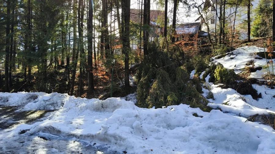 Teren de 835 mp, în Furnica